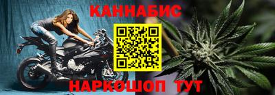 Альфа ПВП Гатчина