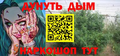 Альфа ПВП Гатчина