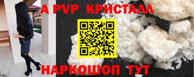 Альфа ПВП Гатчина